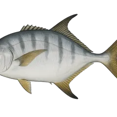 Liche glauque
