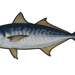 Chinchar