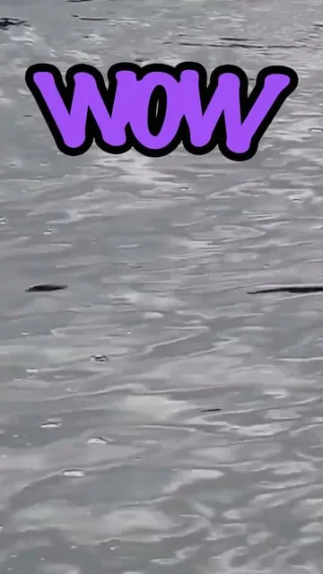 Histoire du Crawler : Du Wow de Donnelly au Crazy Crawler