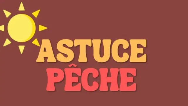 Pourquoi les poissons mordent plus le matin et le soir ?