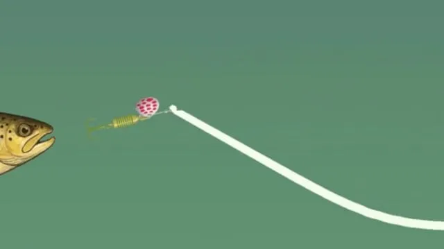 Débuter la pêche à la cuillère : tournante ou ondulante ?