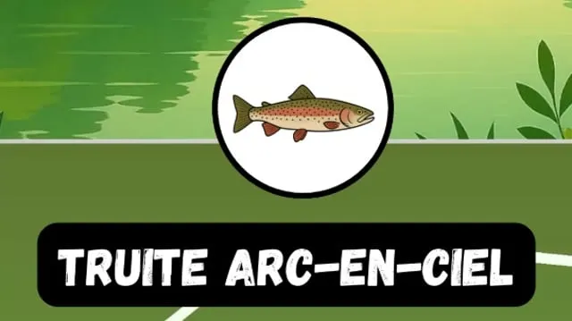 La truite arc-en-ciel : portrait complet et techniques de pêche