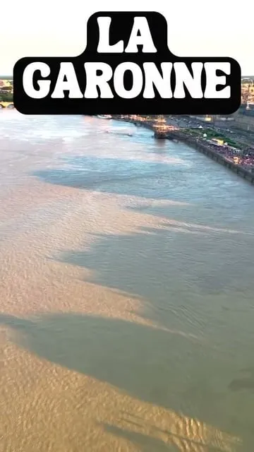 Le Silure Glane : Tout Savoir sur le Géant de nos Rivières