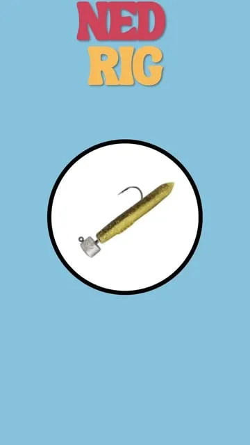 Ned Rig : la technique américaine redoutable pour les carnassiers