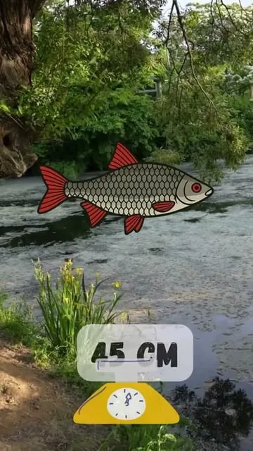 Pêche au coup du gardon : le guide complet pour débuter