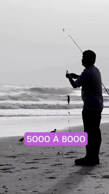 Débuter le Surfcasting : Guide Complet du Matériel et des Techniques
