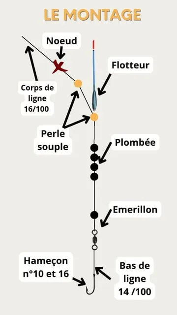 Maîtriser la Pêche à l'Anglaise : Montage et Technique Complète