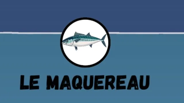 Nouvelle réglementation pêche au maquereau : 5 poissons par jour