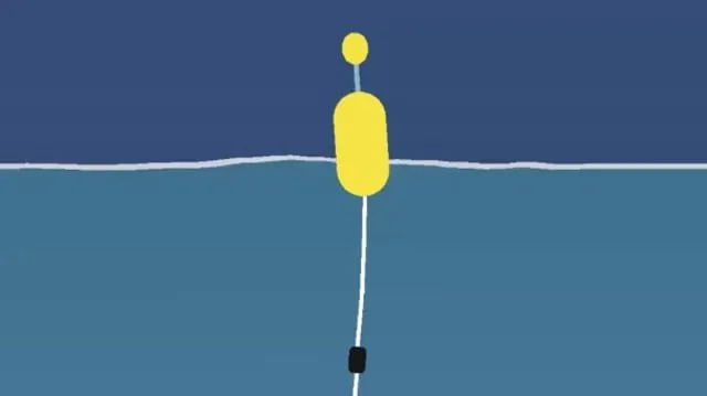 Pêche de la dorade grise au bouchon : montage et technique efficace