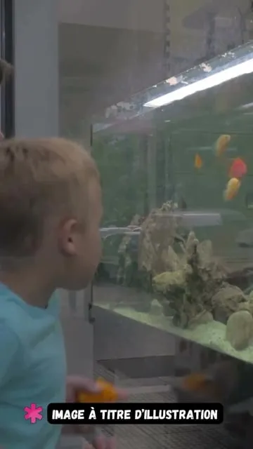 5 espèces invasives à reconnaître et éliminer lors de vos pêches