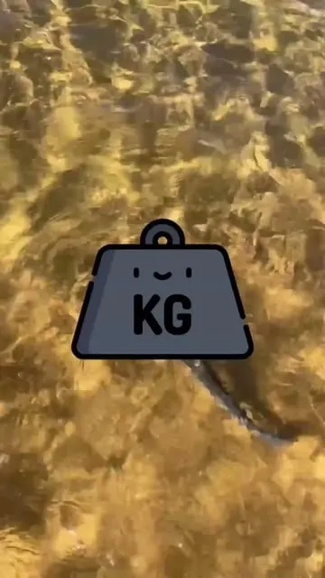 Pêche du bar au printemps : guide complet du bord de mer