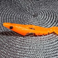 squid / turlutte complet avec cage