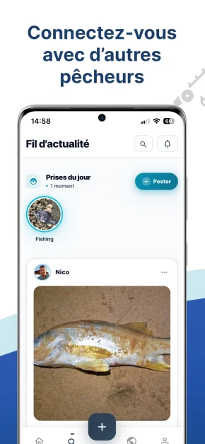 Aperçu du fil d'actualité Fishing Grid