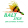 Logo Baltjigs