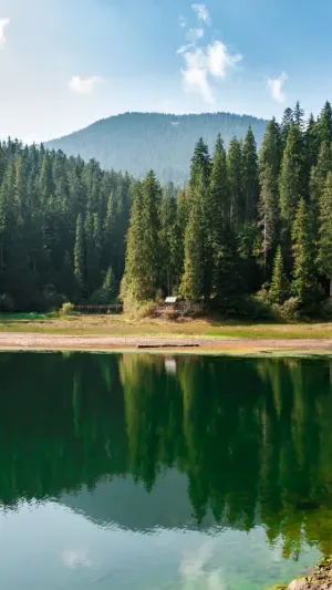 Interface Fishing Grid - Suivi de pêche