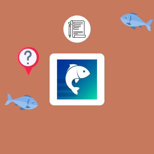 RecFishing 2026 : qui doit déclarer ses prises de pêche en mer en France ?
