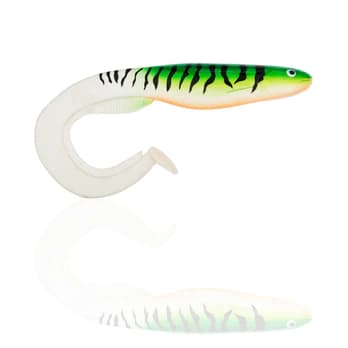 GATOR CATFISH 35 CM - Fishing Grid