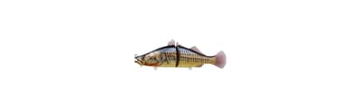 BONE ESPYBARRA 176F - Fishing Grid