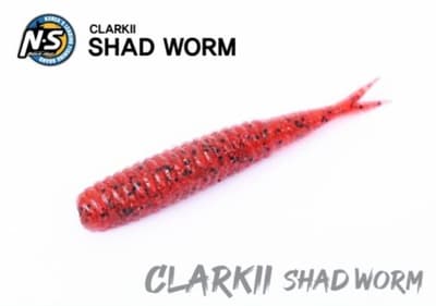 NS BLACK HOLE - CLARKII SHAD WORM - Fishing Grid