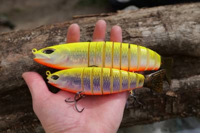 Need2Fish S-Funky 157 – Swimbait articulé sinking - Fishing Grid
