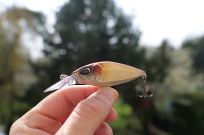 Nays CRNK FLT 75 – Crankbait flottant 7,5 cm - Fishing Grid