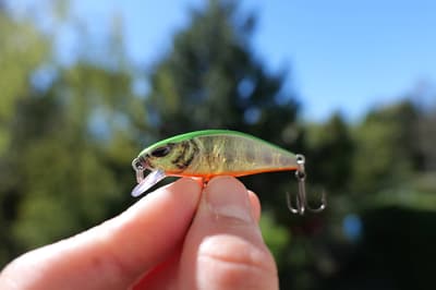 Nays RNN 50 – Poisson nageur 5 cm pour perche, truite et carnassiers - Fishing Grid